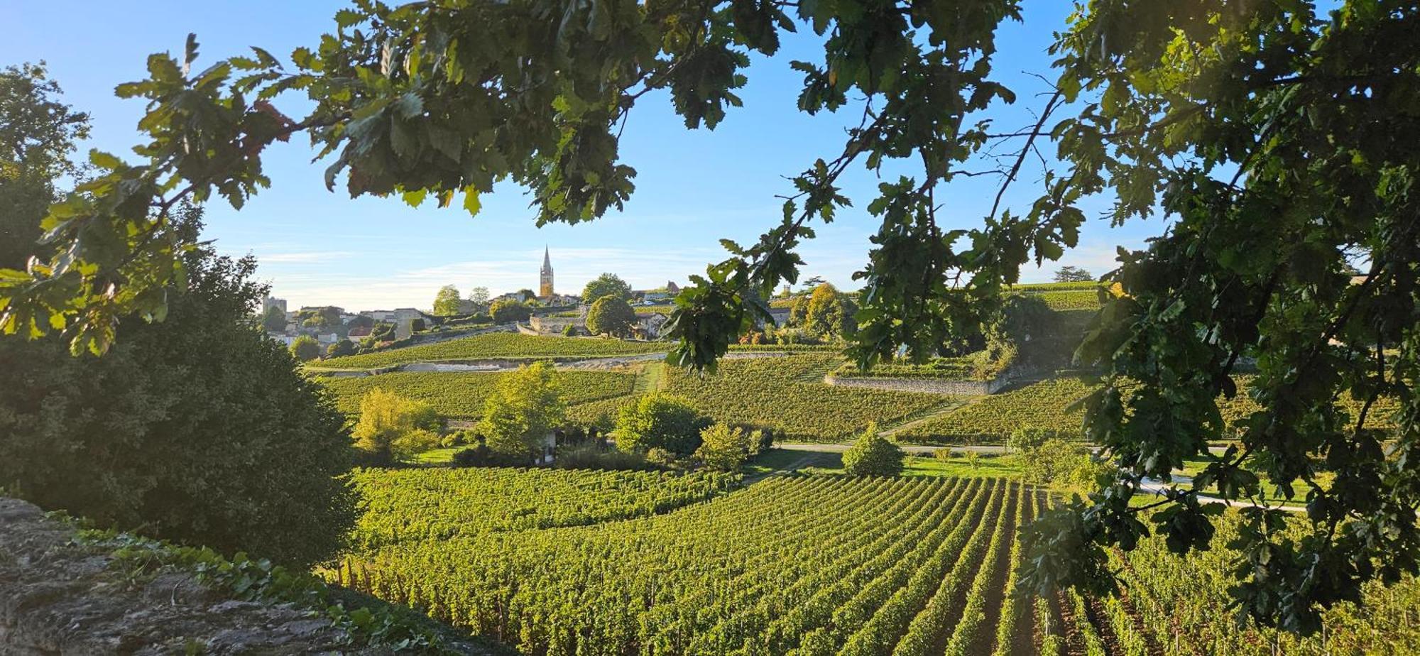 Gite Chateau Touzinat - Saint-Emilion Bagian luar foto